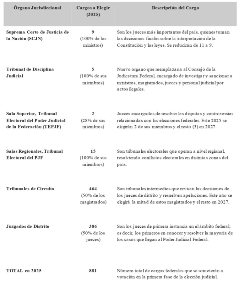 Apuntes sobre la Histórica Elección del Poder Judicial