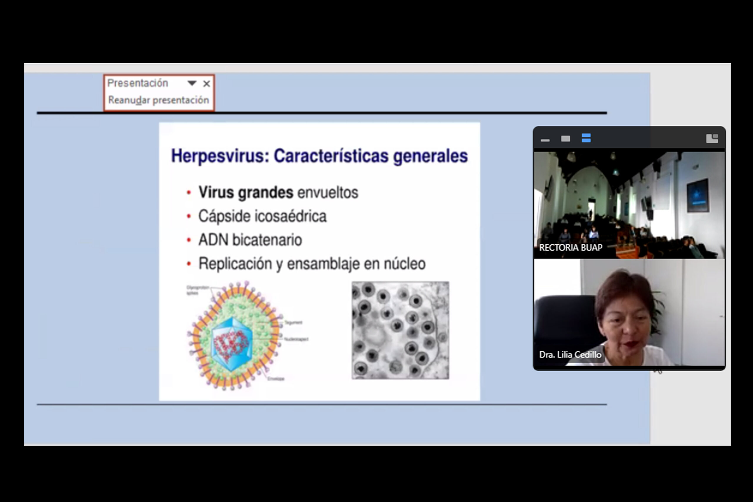 Herpes humano, un reto vigente en salud pública