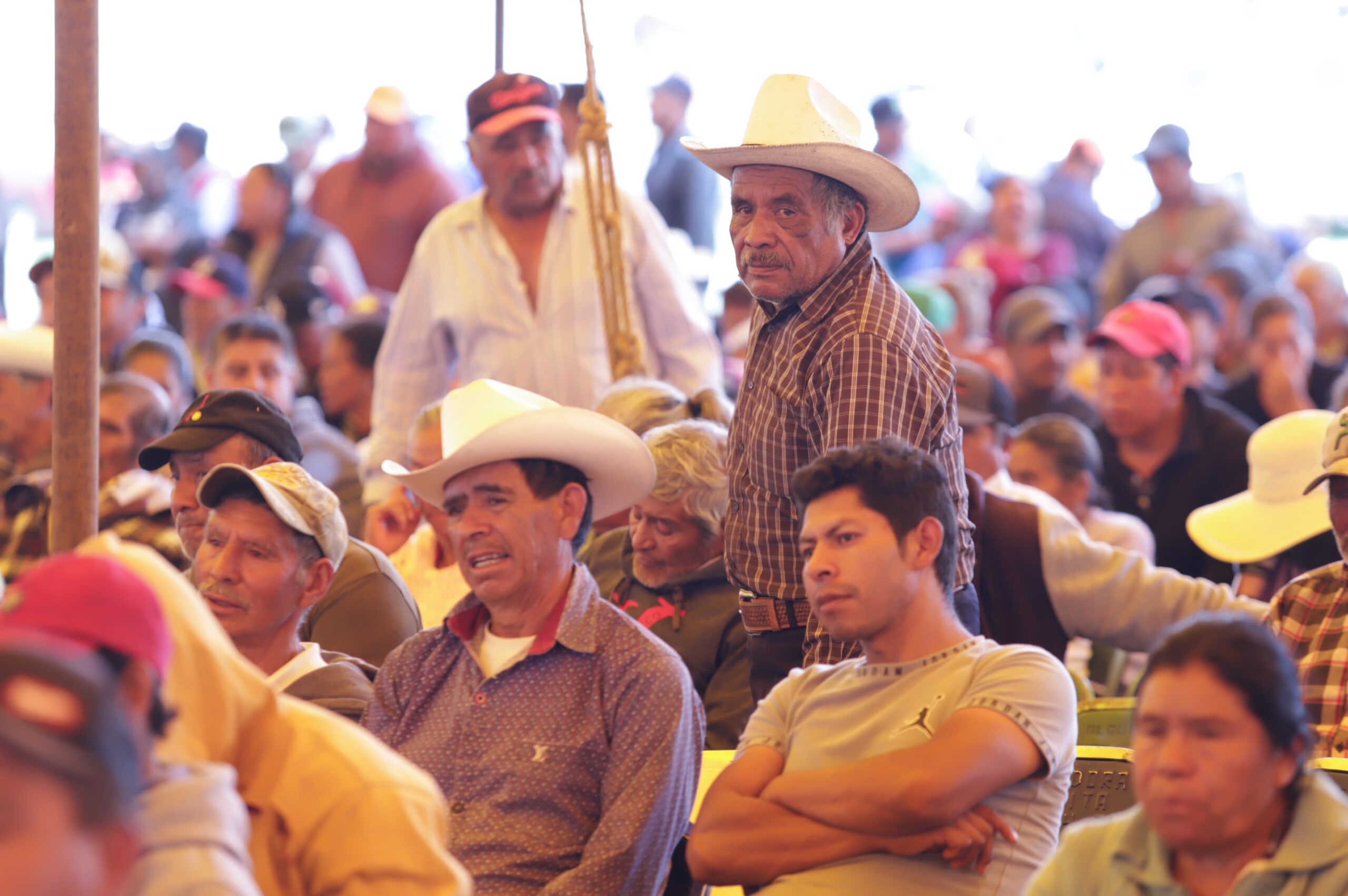 Gobierno de Puebla apoya a productores con 15 mdp