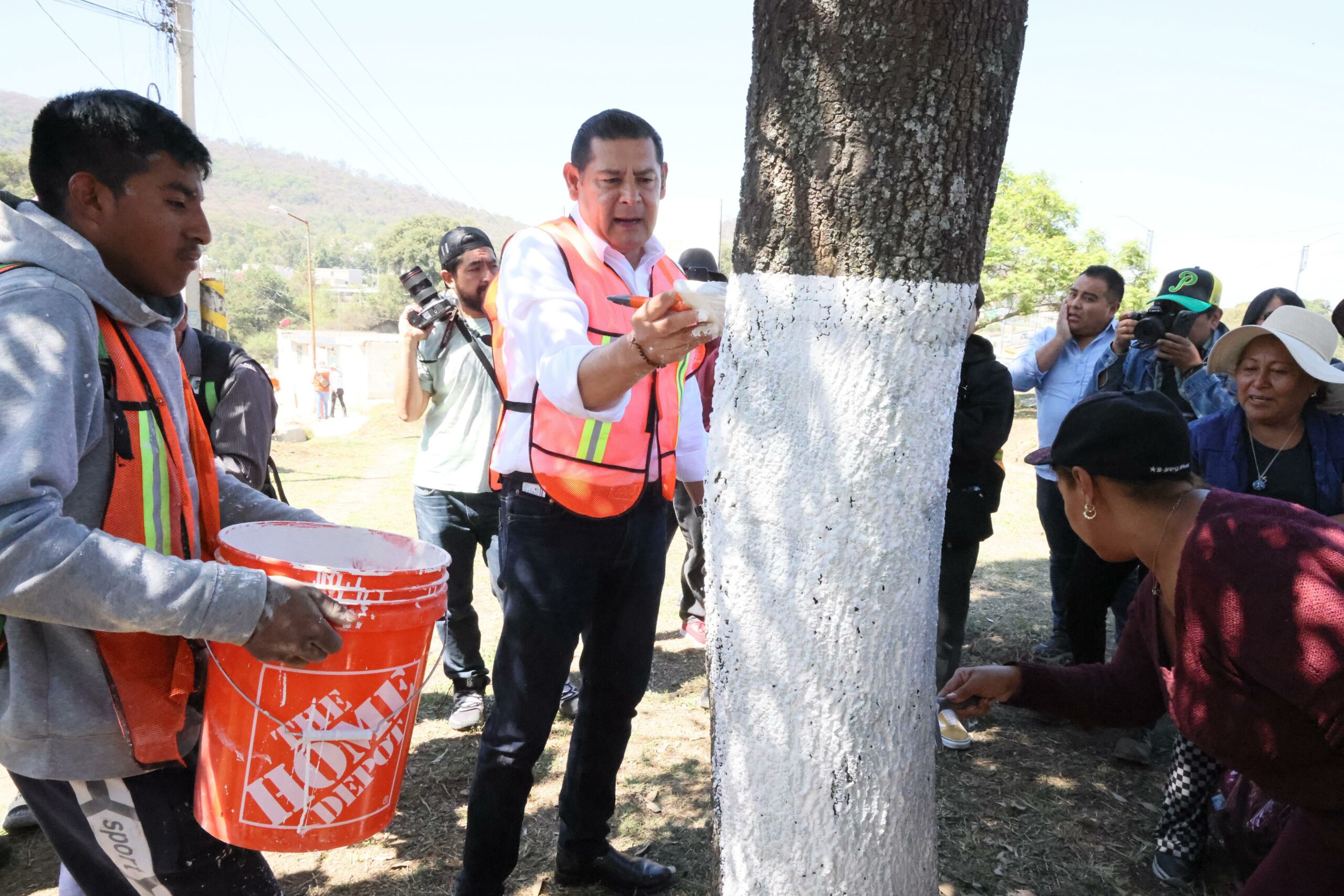 Puebla protege árboles urbanos con encalado científico