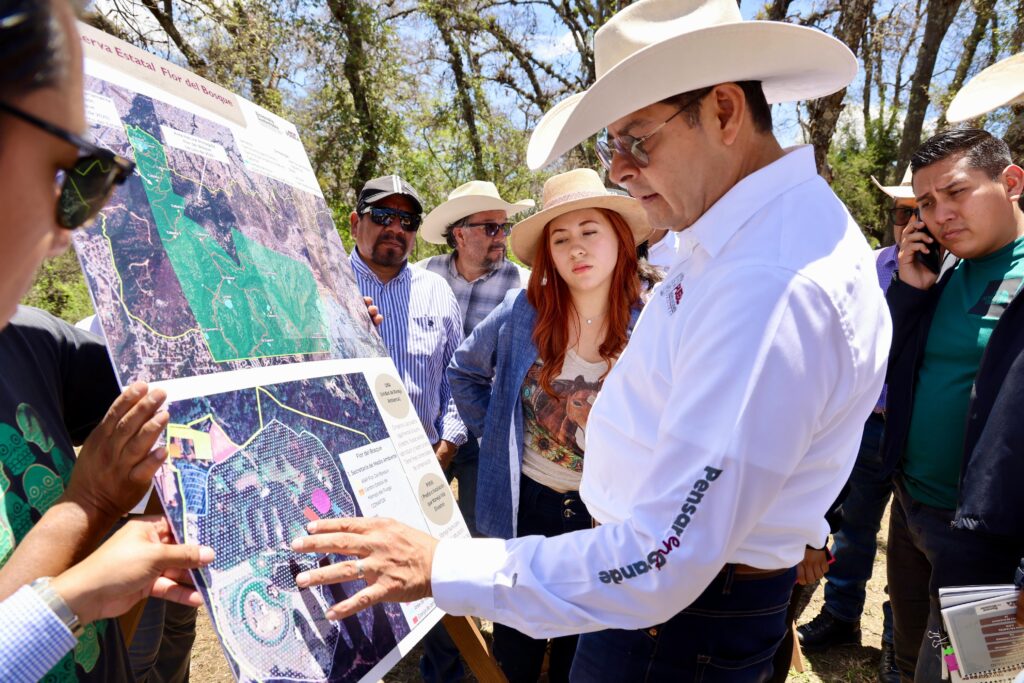 El gobierno de Puebla impulsa el rescate del Parque Flor del Bosque con cabañas ecológicas, acceso gratuito y protección a más de 350 especies.