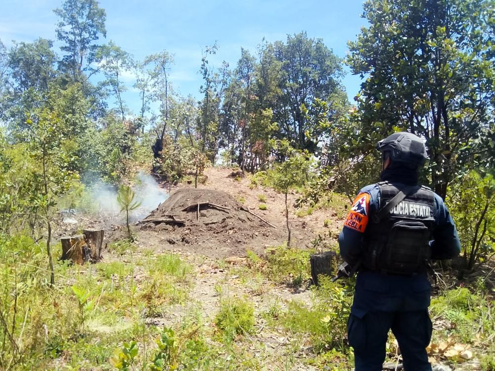 Inhabilita SSP cinco hornos ilegales de madera en Puebla