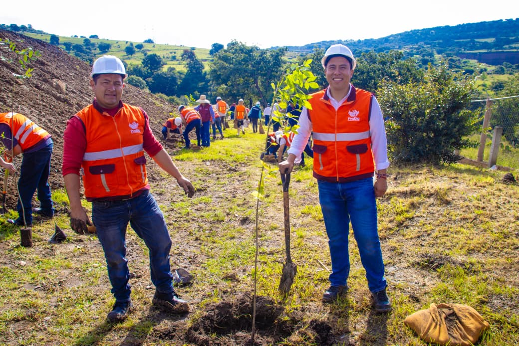 Ayuntamiento impulsa composta para reforestación urbana