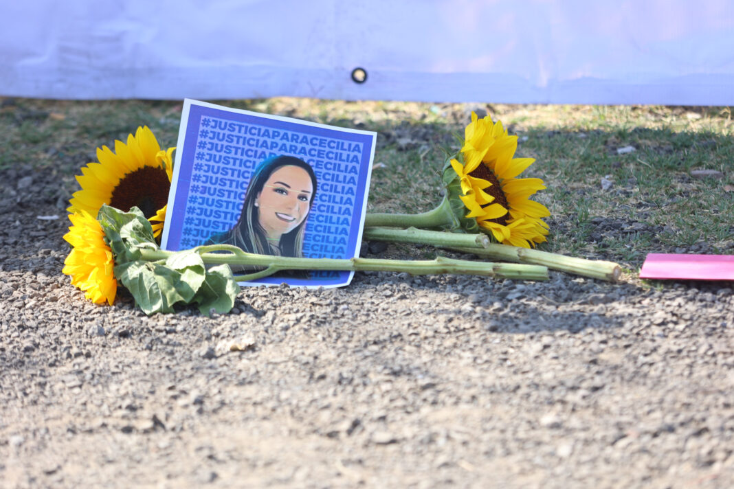 21052025DPcecilia-11 (2)