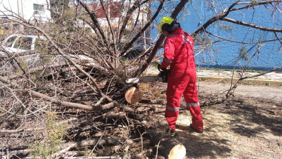 PHOTO-2025-10-29-13-44-22