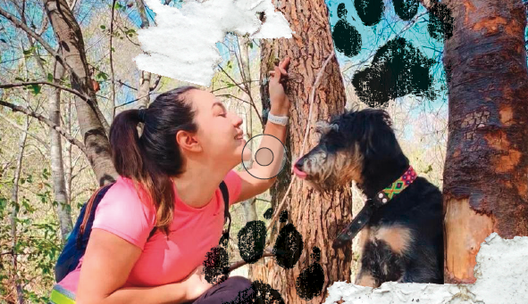 Hay evidencia del interés de los perros por nuestro lenguaje corporal. Foto: Clara Torres Rodríguez.