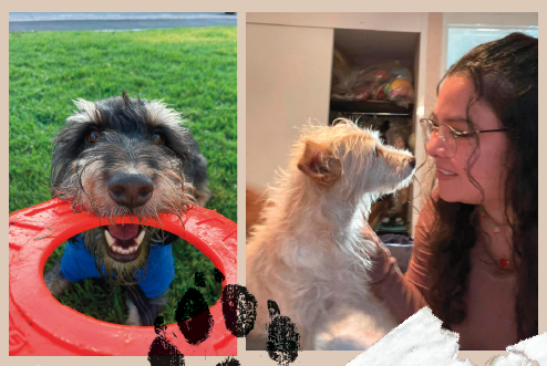 Estudios señalan que el vínculo perro–cuidador es tan fuerte como el de una madre y su hijo. Foto izq.: Clara Torres Rodríguez. Foto abajo: Miriam Ávila Ramírez.